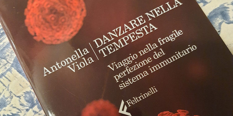 Danzare nella Tempesta, il libro di Antonella Viola