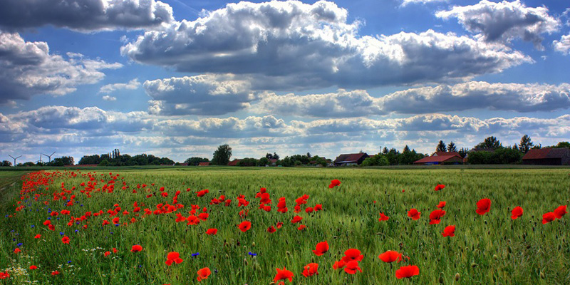 Poesia, sublimare un pensiero