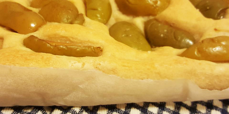 Olive da tavola, la bella di Cerignola