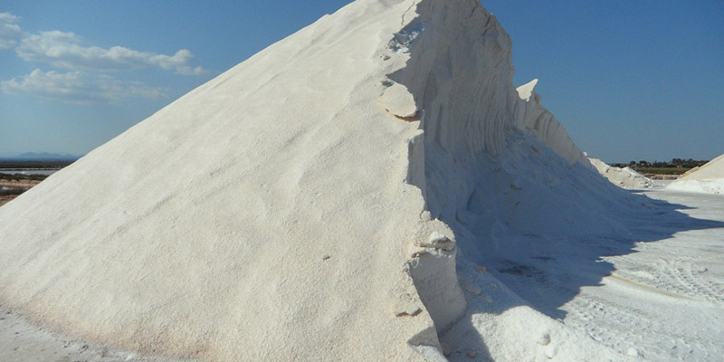 Cedrospeziato & le saline di Margherita di Savoia