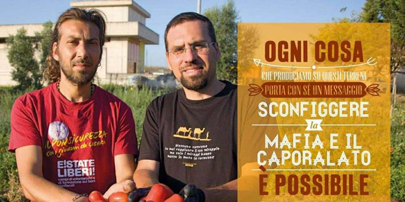 Pomodoro Revolution, la nuova filiera di Pietra di scarto