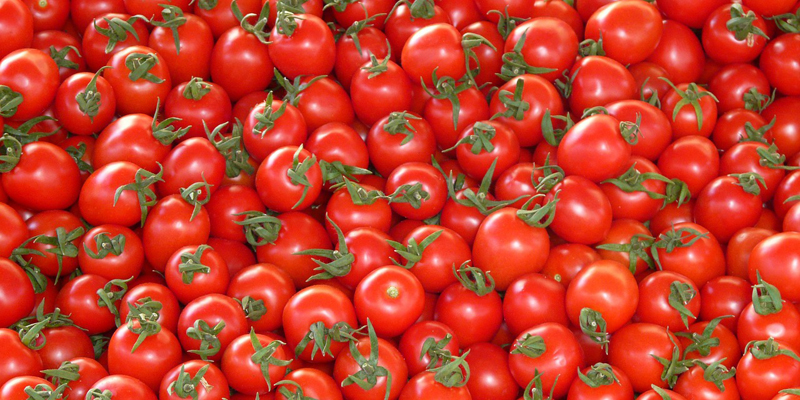 Pomodori, che passione!